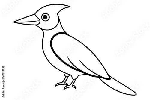 Woodpecker line art vector illustration photo