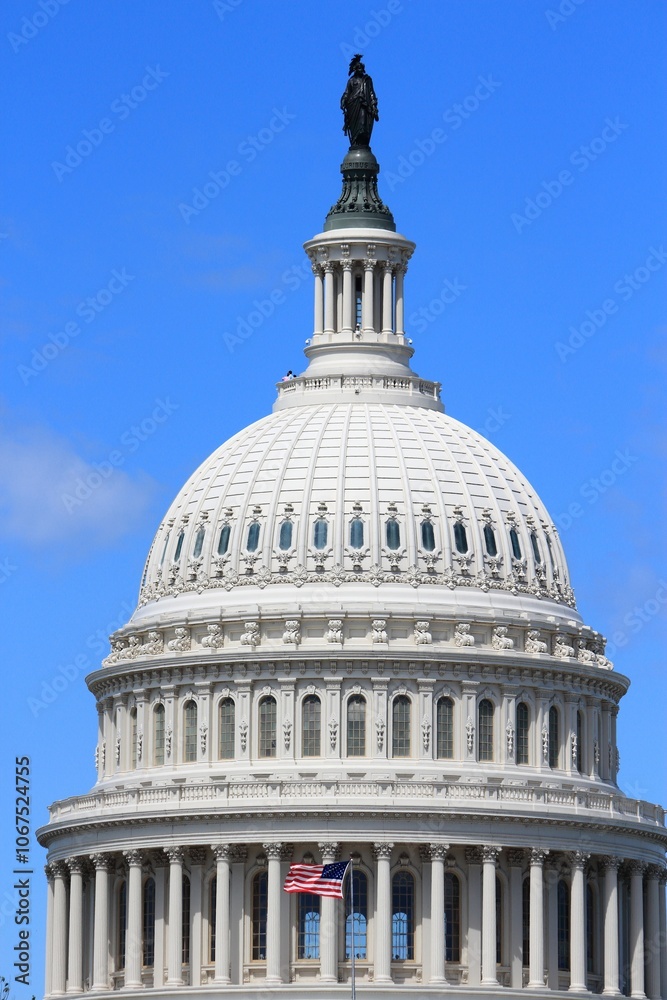 Obraz premium National Capitol, Washington DC