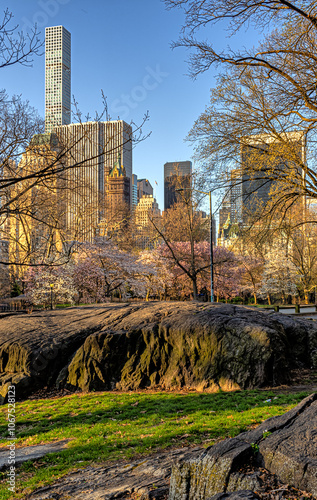 Central Park in spring photo