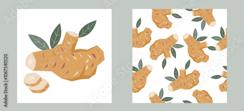 Ginger or turmeric indian spice label and seamless background, flat vector illustration. Design set for ginger or turmeric packaging templates.