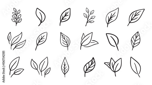 Hand drawn leaf eco set. Black line doodle leaf icons
