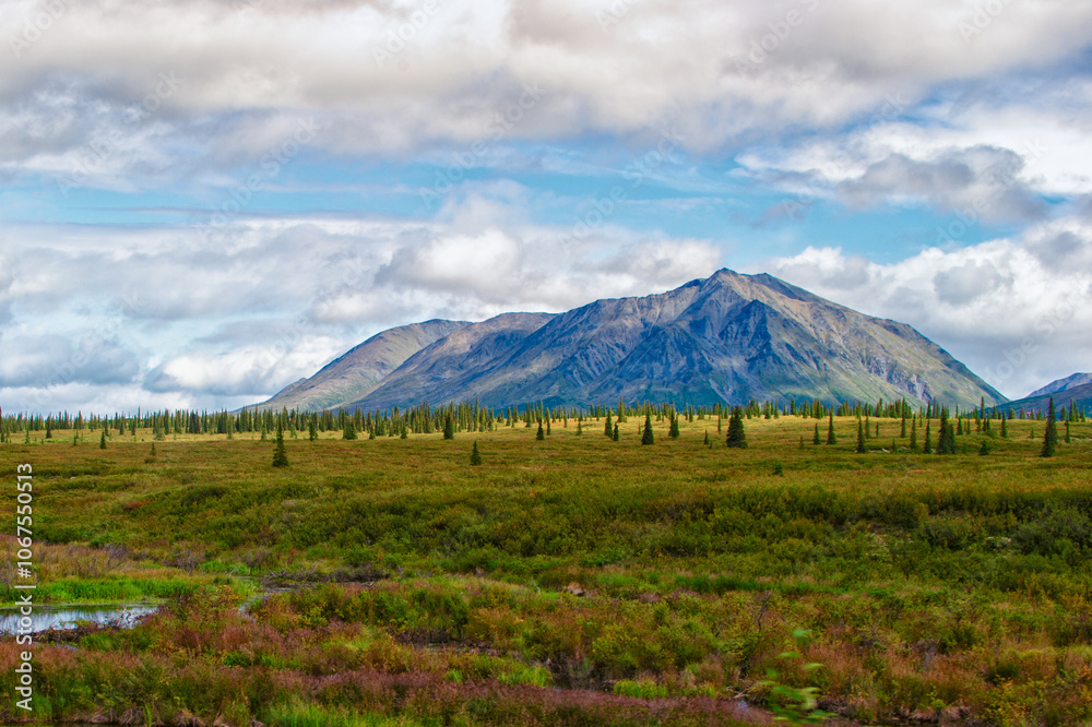 Fototapeta premium Rugged Mountain and plain