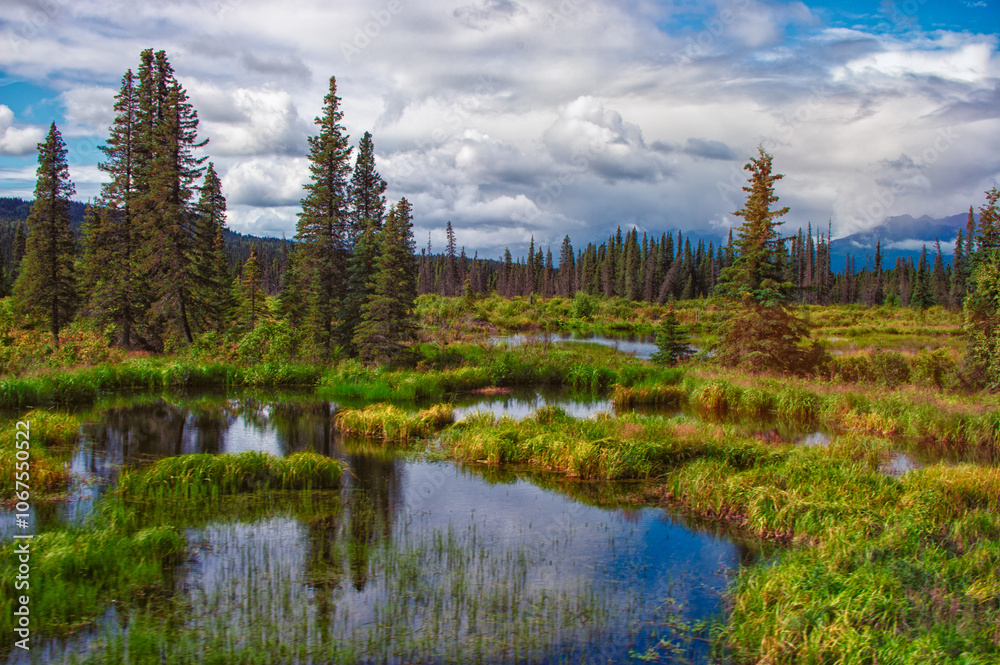 northern marshlands northern marshlands