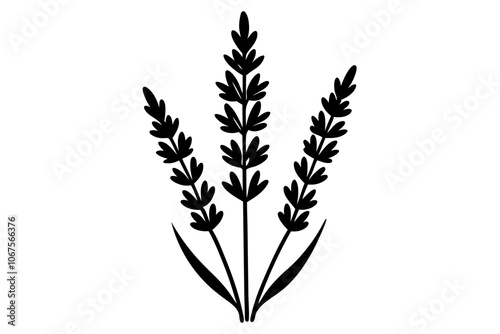 A Beautiful silhouette art vector design
