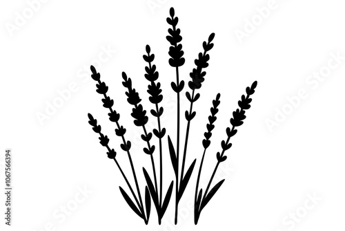 A Beautiful silhouette art vector design