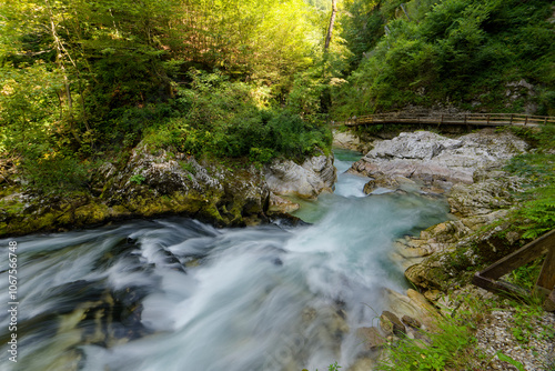 River in the forest. Vintagar Gore Slovenia. Triglav National Park.