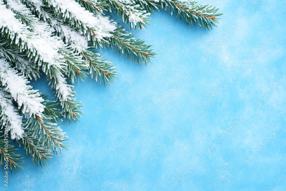 Branch of snowy green spruce, Christmas tree on blue background. Winter template, Flat lay concept for Christmas, New Year and sale season. Web card and backdrop with space for text Branch of snowy green spruce, Christmas tree on blue background. Winter template, Flat lay concept for Christmas, New Year and sale season. Web card and backdrop with space for text