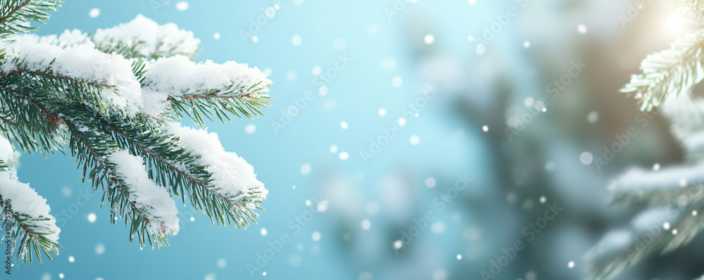 Branch of snowy green spruce, Christmas tree on blue background with snowfall. Winter template, banner concept for Christmas, New Year and sale season. Web card and backdrop with space for text Branch of snowy green spruce, Christmas tree on blue background with snowfall. Winter template, banner concept for Christmas, New Year and sale season. Web card and backdrop with space for text