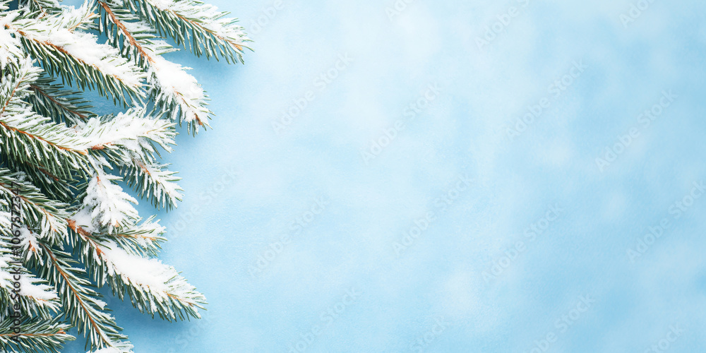Obraz premium Branch of snowy green spruce, Christmas tree on blue background with snowfall. Winter template, banner flatlay concept for Christmas, New Year and sale season. Web card, backdrop with space for text