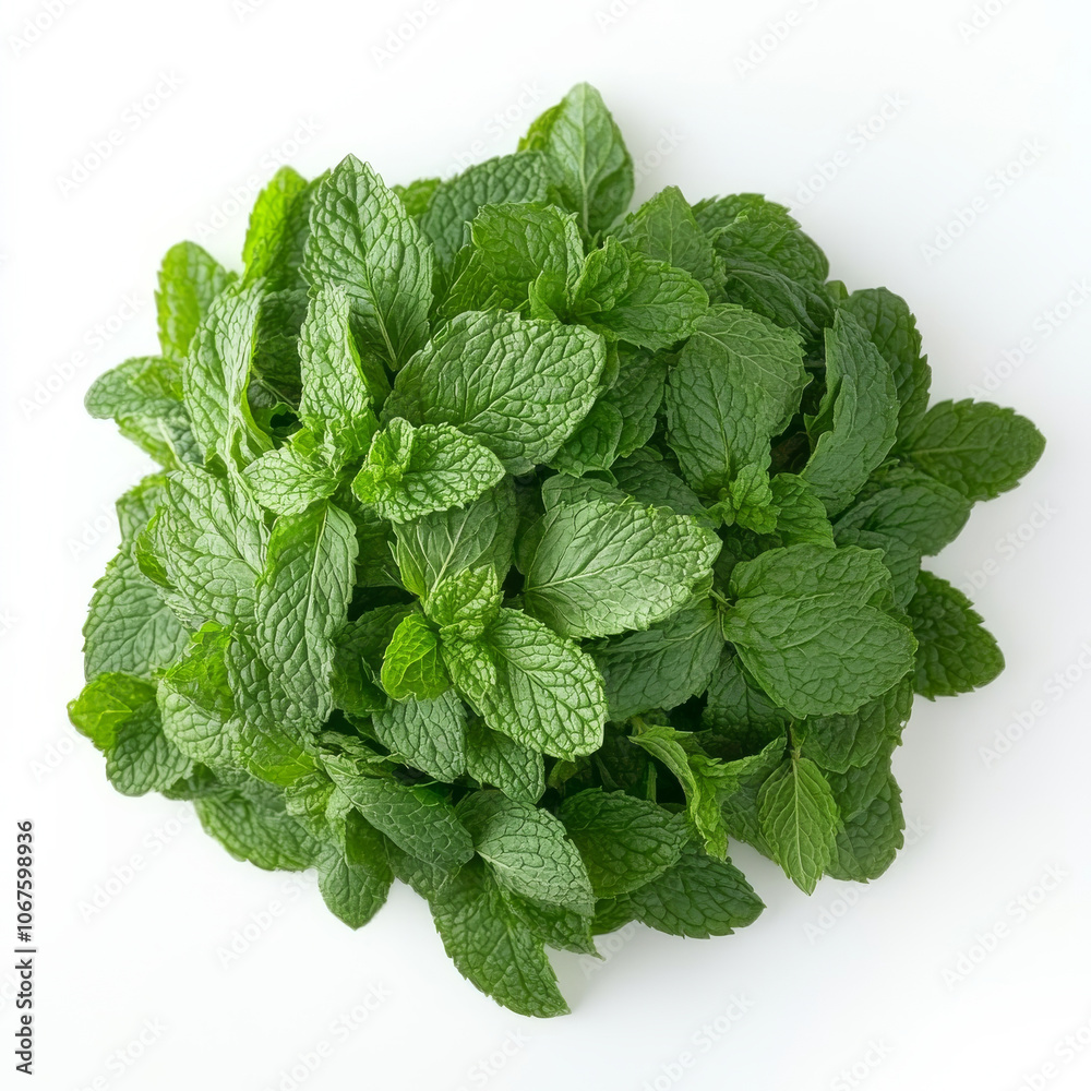 A handful of fresh mint leaves, isolated on a white background, highlighting a fragrant herb A handful of fresh mint leaves, isolated on a white background, highlighting a fragrant herb