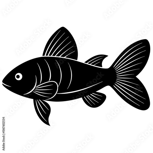 fish on white background