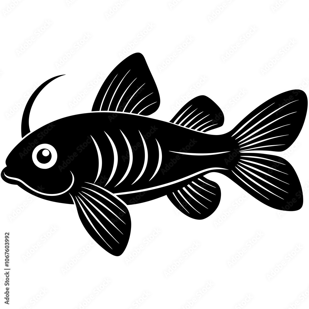 illustration of a fish illustration of a fish