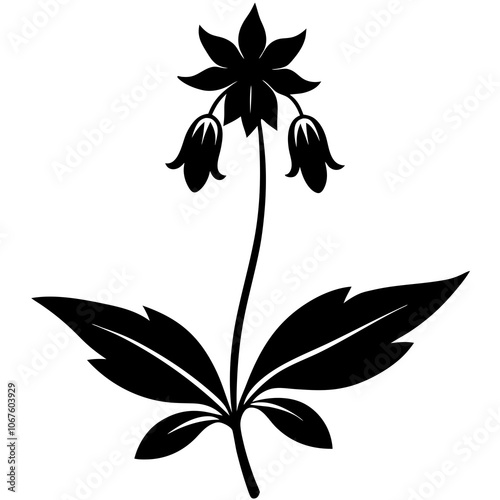 black and white flower