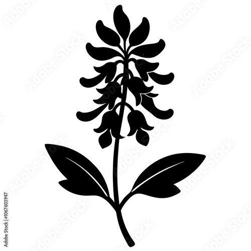 black and white flower