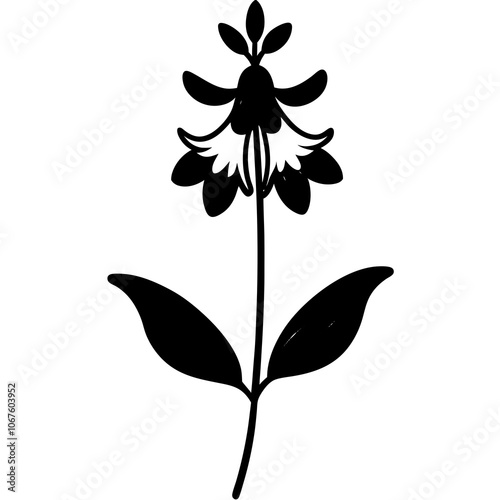 black and white flower