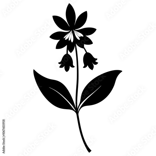 black and white flower