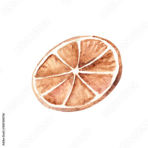 Orange Slice, dry Citrus Fruit. Watercolor illustration in rustic style isolated on white background. Design element for Christmas holiday cozy decorations and prints.