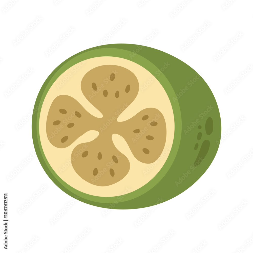 Fototapeta premium Single juicy green halved cut feijoa. Hand drawn cartoon winter berry fruit illustration