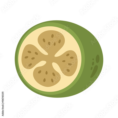 Single juicy green halved cut feijoa. Hand drawn cartoon winter berry fruit illustration