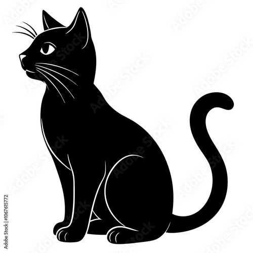 black cat