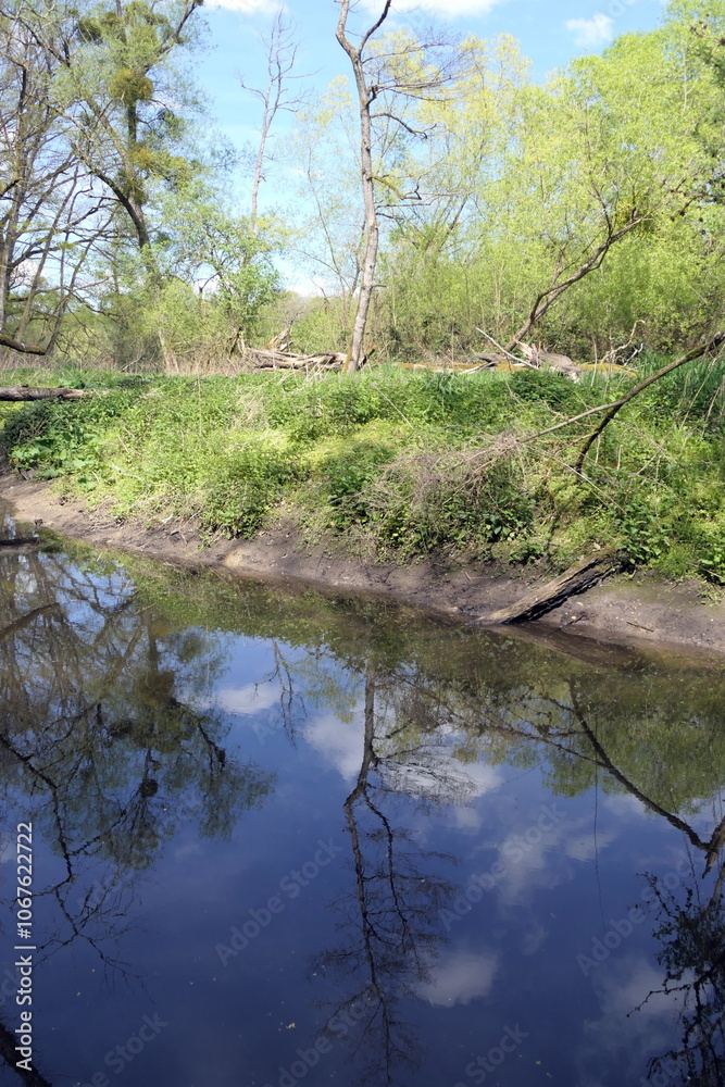 Rodau bei Laemmerspiel