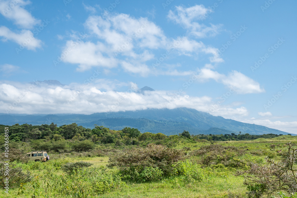 A vibrant and lush green forest with mountains, Arusha National Park, Tanzania A vibrant and lush green forest with mountains, Arusha National Park, Tanzania