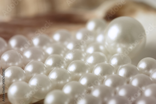 The beauty of white pearls in the shell, is an amazing combination of nature and elegance in every luster and shape