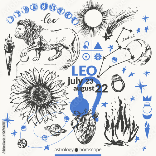 Hand drawn leo zodiac sign illustration, horoscope background with astrology symbols and talismans