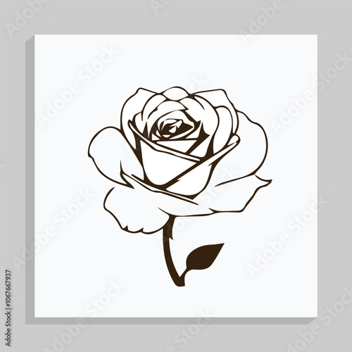 ROSE Flower design using adobe illustrator and vector...