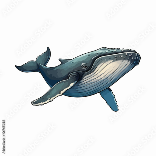 Whale Cartoon. Vector illustration of cartoon whale.