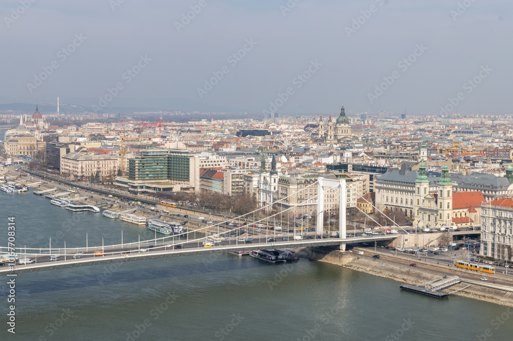 Obraz premium cityscape view of elizabeth bridge in budapest 