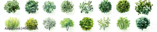 Landscape plan and architecture layout watercolor tree top view