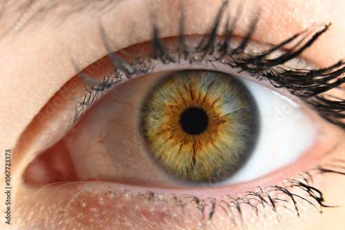 High-resolution close-up photograph of a complete human eye, showcasing the intricate details of the iris, The iris has a unique yellowish hue, perfect for medical, artistic, and creative projects.