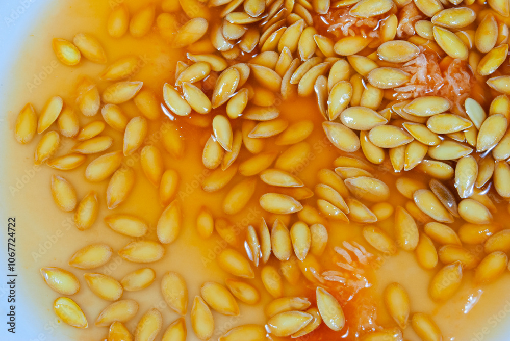 Melon seeds in a white plate, surrounded by juice and natural fiber, detail of texture and natural shapes. Melon seeds in a white plate, surrounded by juice and natural fiber, detail of texture and natural shapes.