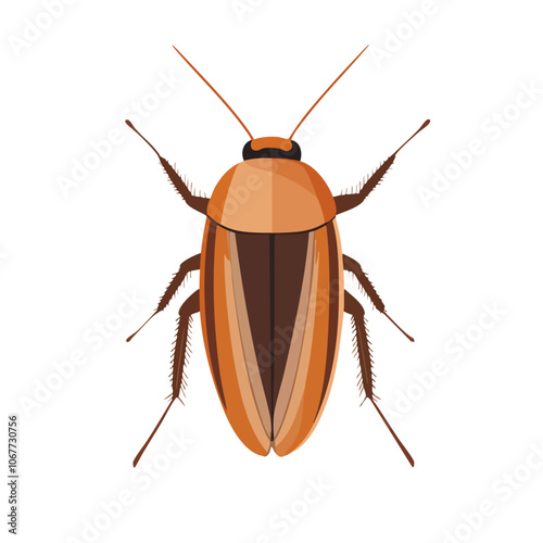 cockroach topview