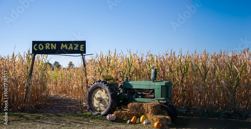 Entrance to a corn maze at a fall festival with a decorative tractor.