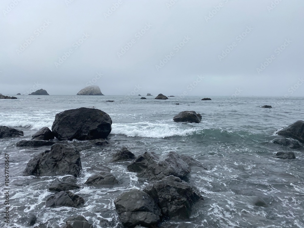 Fototapeta premium California Beach