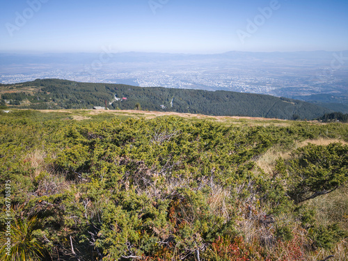 Landscape of Vitosha Mountain, Bulgaria photo