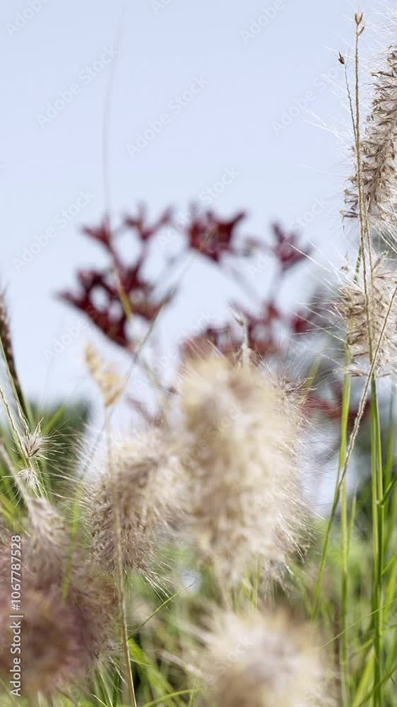 A Meadow Covered in Bright Wildflowers
