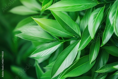 Close-up of Lush Green Leaf Texture with Sharp Organic Detail and Natural Background Blur, Vibrant Foliage, Nature Photography, Macro Shot