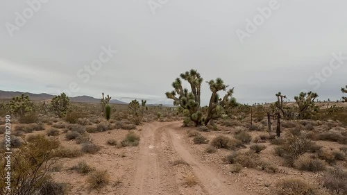 Desert off road red trail Josua tree Nevada POV. Scenic Parkway Highway 93. Mountain desert valley. Dry arid environment. Natural beauty recreation area. Between Phoenix and Las Vegas. Landscape.