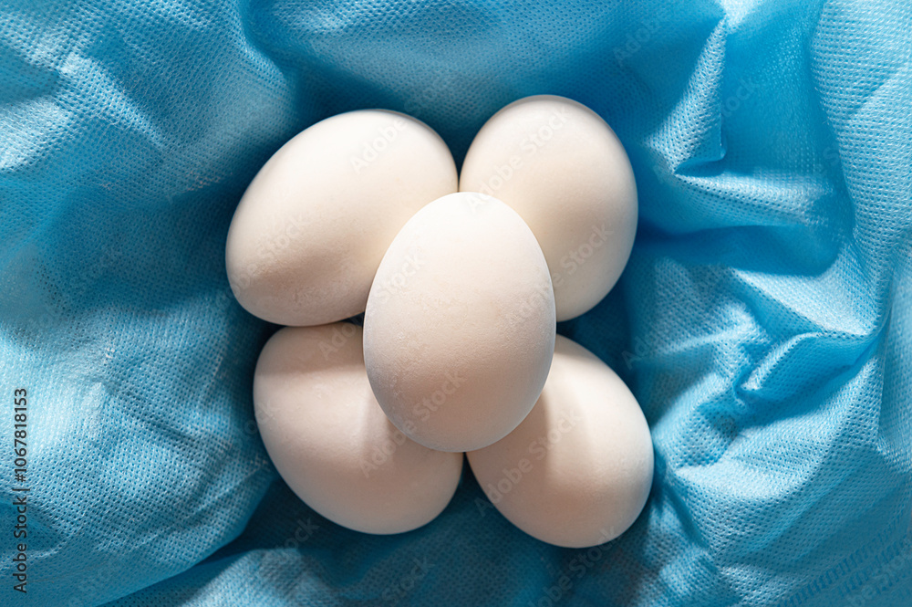 eggs on blue cloth background. Top view eggs on blue cloth background. Top view