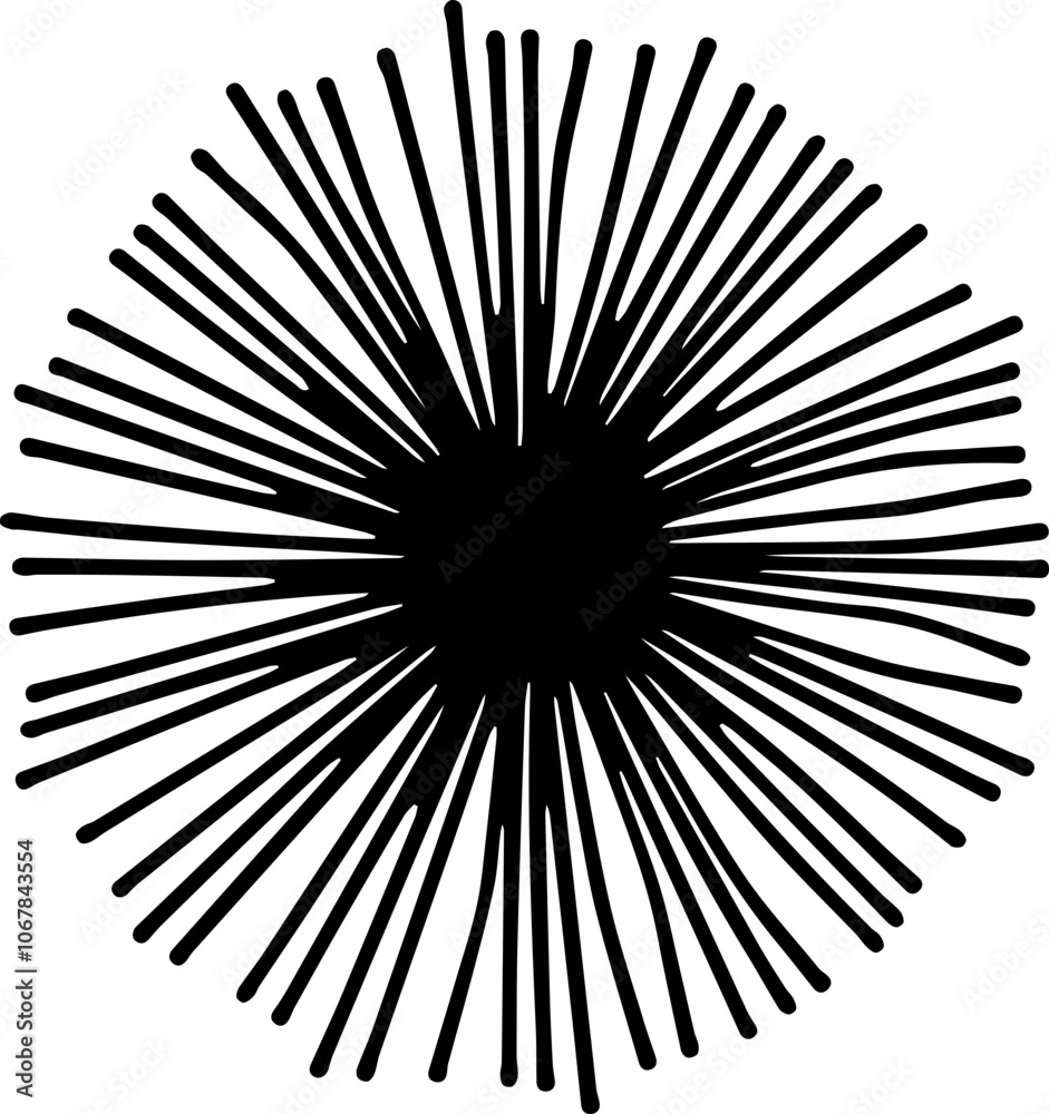 Obraz premium 성게 