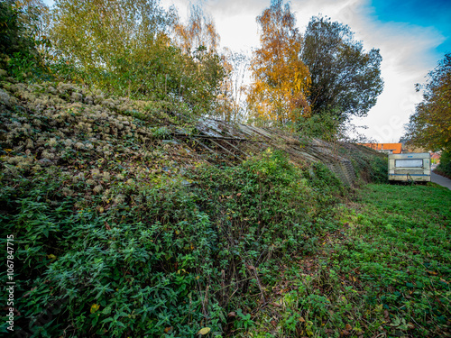 Zugewachsenes und beschädigtes Glasdach eines Gewächshauses photo