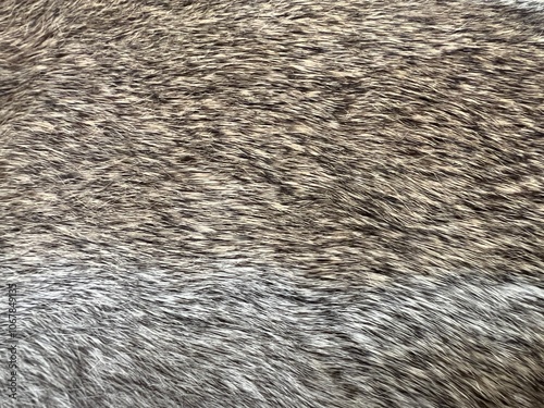 Close up texture of brown gray and white rabbit fur