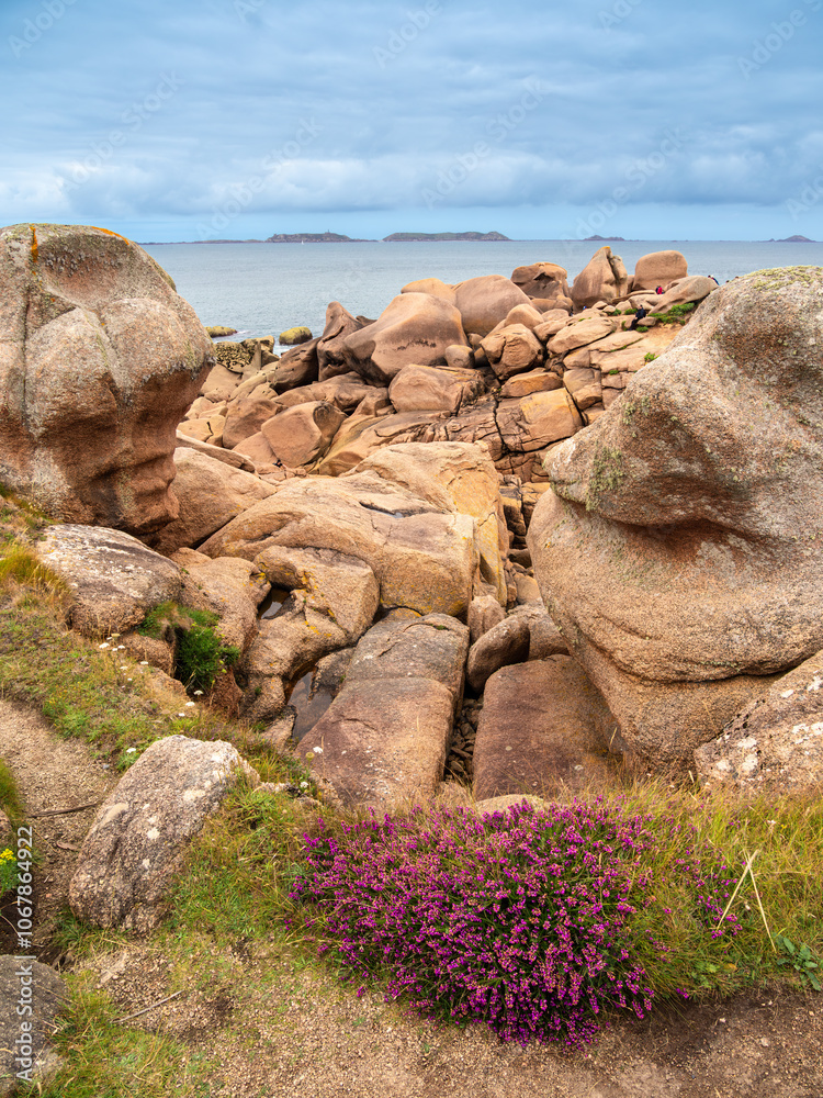 A scenic coastal landscape featuring rocky formations of pink granite stones. Ploumanach, Brittany, Pink granite coast A scenic coastal landscape featuring rocky formations of pink granite stones. Ploumanach, Brittany, Pink granite coast