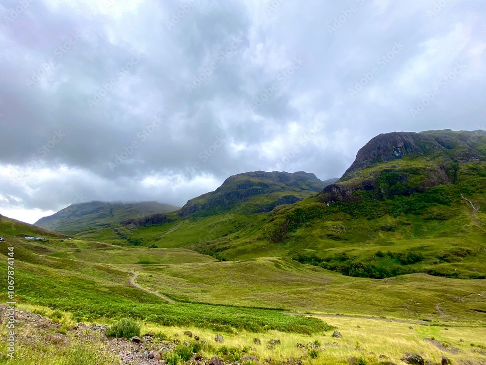 Fototapeta premium Beauty