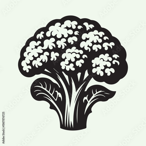 cauliflower vector, cauliflower silhouette vector icon black and white