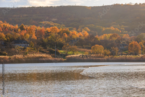 Autumn landscape with vibrant trees by a calm lake under soft sunlight, capturing the peaceful beauty of nature