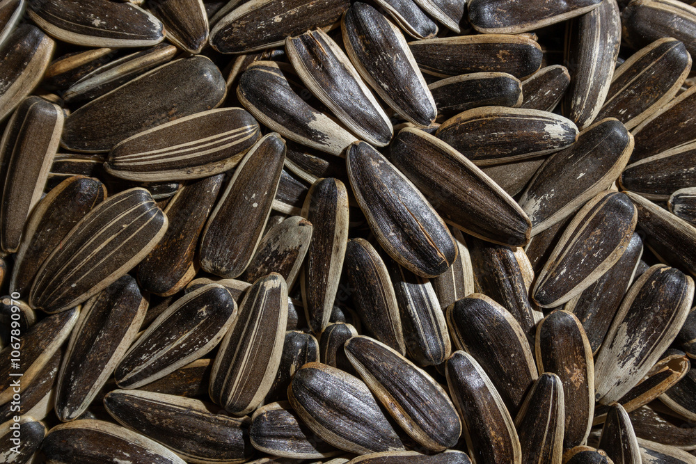 Non Salty Roasted Sunflower Seeds in Shell: A Culinary Canvas of Sunflower Kernels, Creating a Lively and Textured Background for Gourmet Cooking. Scattered Sun Flower Seeds - Top View, Flat Lay Non Salty Roasted Sunflower Seeds in Shell: A Culinary Canvas of Sunflower Kernels, Creating a Lively and Textured Background for Gourmet Cooking. Scattered Sun Flower Seeds - Top View, Flat Lay